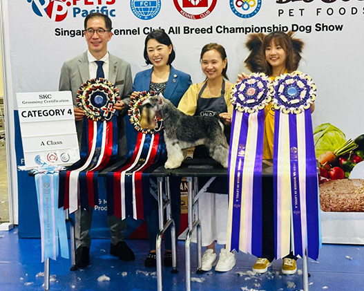 Victorious Outing at the 3rd Fédération Cynologique Internationale / Singapore Kennel Club Grooming Certification / Competition at Singapore Pet Expo