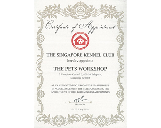 The Pets Workshop is Appointed as Appointed Dog Grooming Establishment!