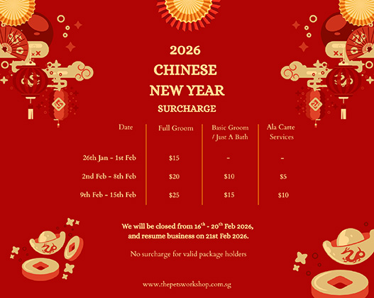 Ringing in the Lunar New Year