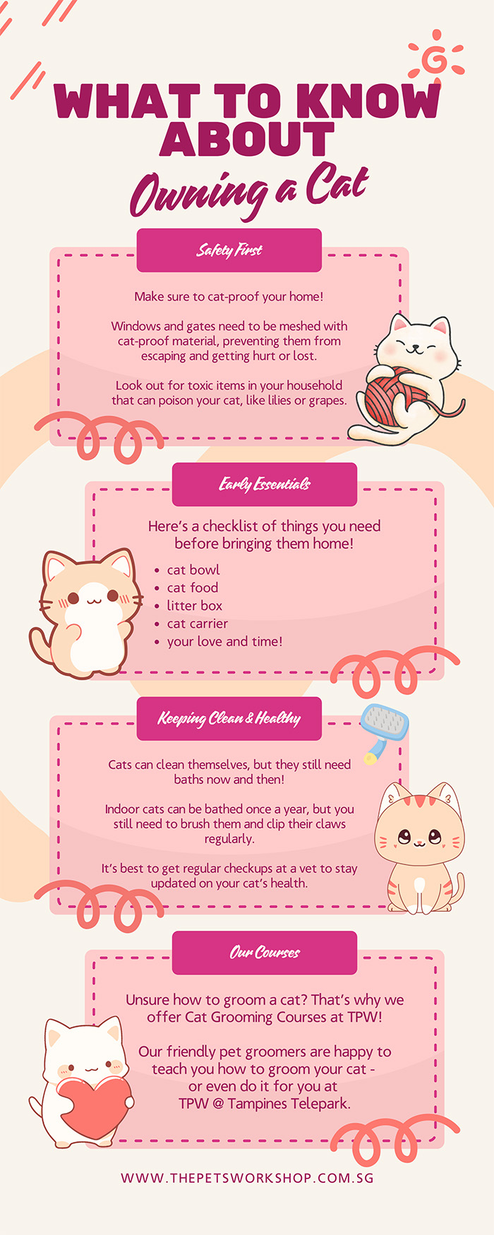 Pets-workshop - News-Infographic
