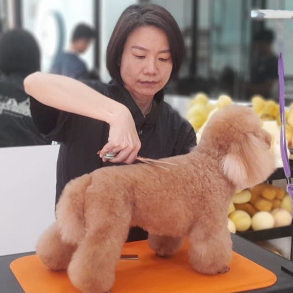 The Pets Workshop - Chong Li