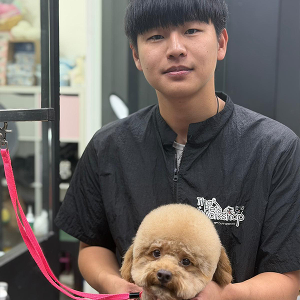 The Pets Workshop - Alvin Tai