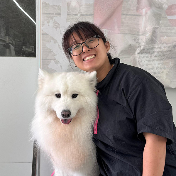 The Pets Workshop - Bellerie