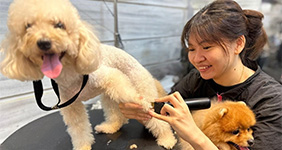 The Pets Workshop - May Leong 