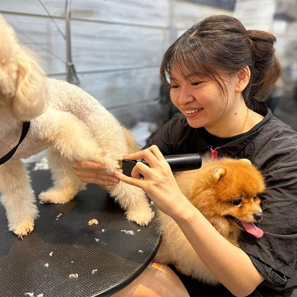 The Pets Workshop - May Leong