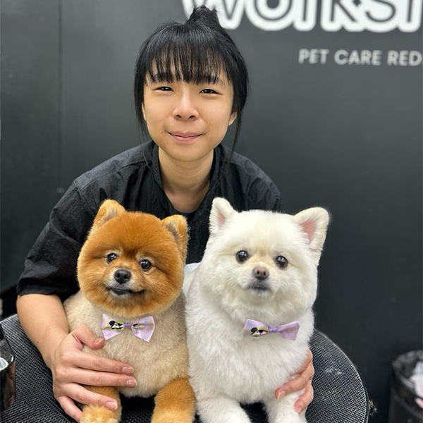 The Pets Workshop - Wendy Lin