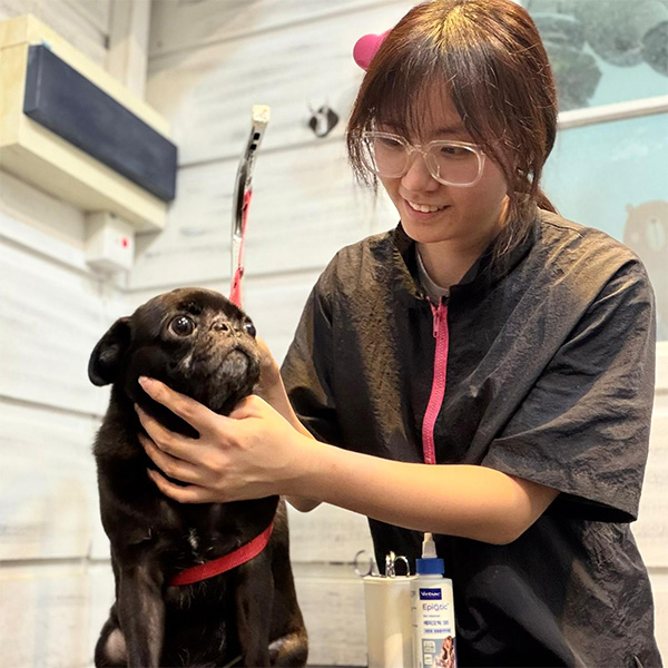 The Pets Workshop - Wooi Qi Xuan