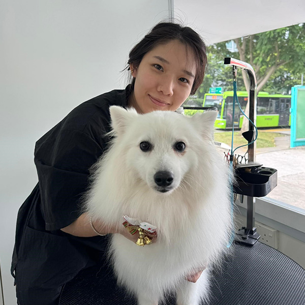 The Pets Workshop - Yvette Koh Xue Zi
