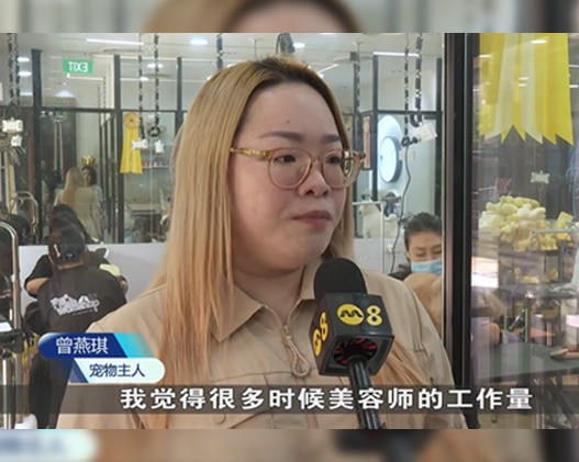 The Pets Workshop Featured on TCS8 News!