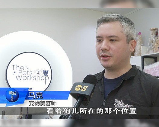 Our Thoughts on Upcoming Animal Welfare Law Changes