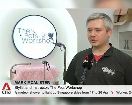 Pet Workshop - Pet Grooming Guideline Updates What it Means for Us