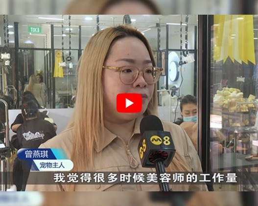 The Pets Workshop Featured on TCS8 News!