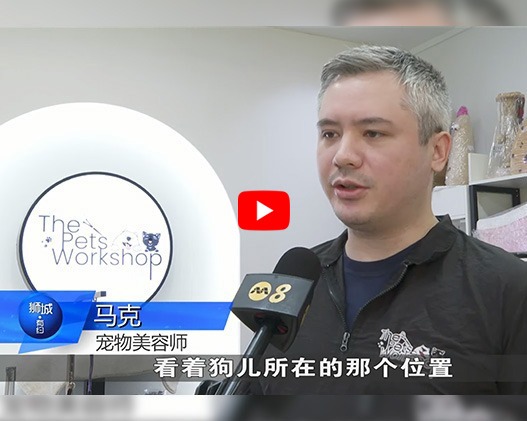 Our Thoughts on Upcoming Animal Welfare Law Changes