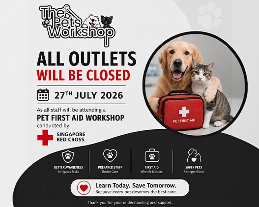 Raising the Standard of Pet Care Through Pet First Aid Training