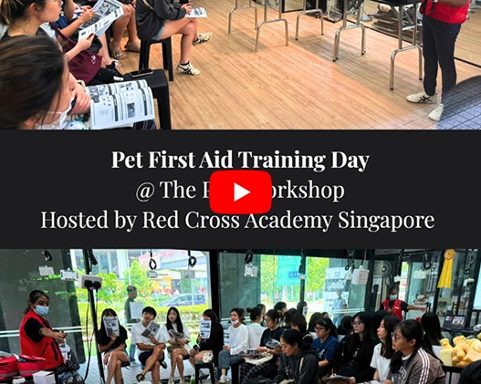 Pet First Aid Training Day with Singapore Red Cross Academy