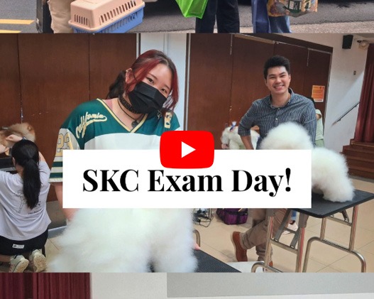 Celebrating Our Students’ Achievements at the Singapore Kennel Club Exam