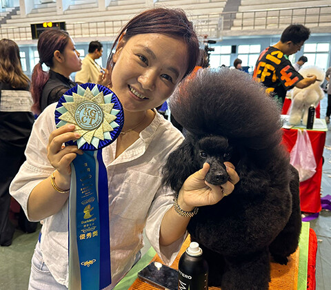 Asia Pacific Pet Groomer summer Asia Pacific Pet Groomer summer