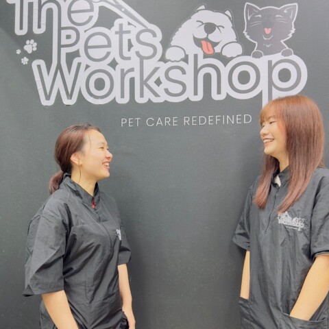 Kaimin-Pets-Workshop