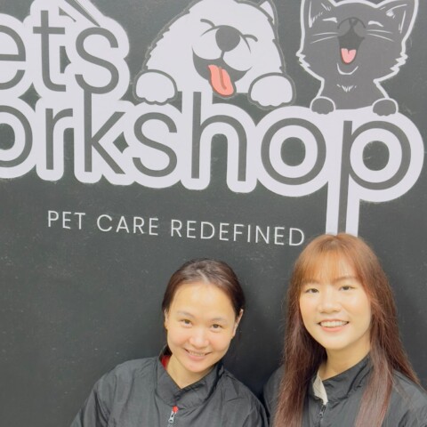 Kaimin-Pets-Workshop