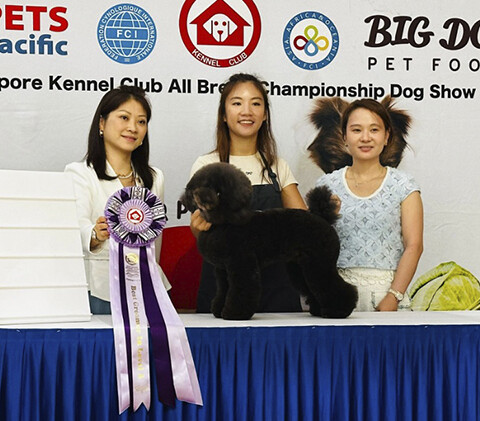 Successful Outing at the 33rd Singapore