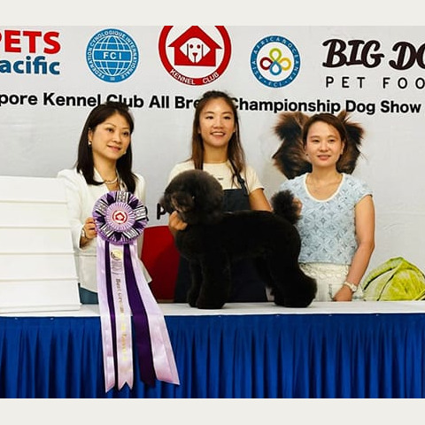 Successful Outing at the 33rd Singapore