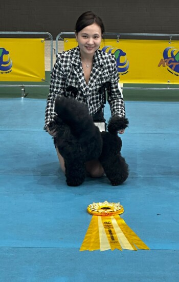 Taiwan Dog Handling Competition Three