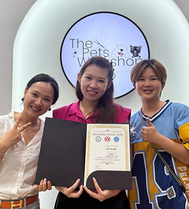 34th Singapore Kennel Club Certification Exam