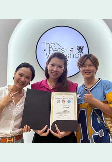 34th Singapore Kennel Club Certification Exam