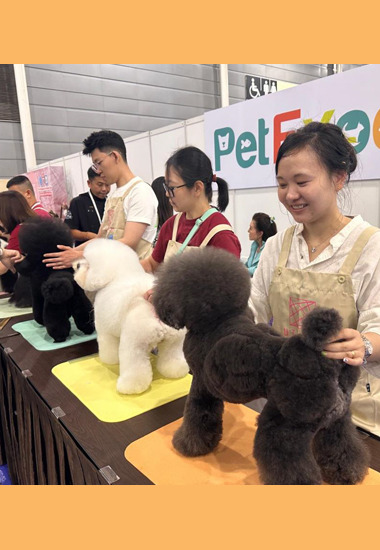 Pets Workshop - Impressive Outing at the 35th Singapore Kennel Club Certification Exam