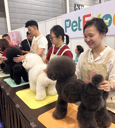 Pets Workshop - Impressive Outing at the 35th Singapore Kennel Club Certification Exam