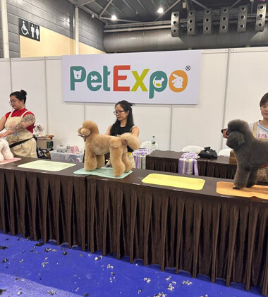 Pets Workshop - Impressive Outing at the 35th Singapore Kennel Club Certification Exam