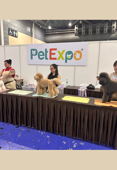 Pets Workshop - Impressive Outing at the 35th Singapore Kennel Club Certification Exam